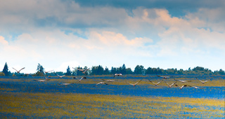 National Park wetlands